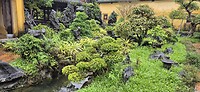 prachtige tuin