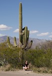 Tucson