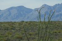 Tucson