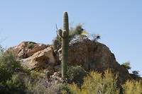 Tucson