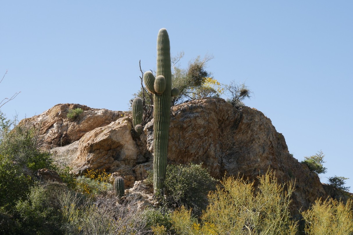 Tucson