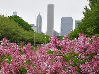 20190530_195727