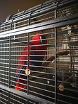 IMG-20190606-WA0021