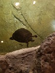 20190605_165413