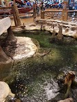 20190605_162034