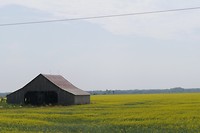 1080533