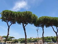20190805_142226