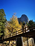 IMG-20191029-WA0001