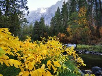 IMG-20191029-WA0018