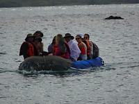 Galapagos