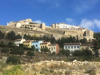 Morella