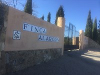 Finca