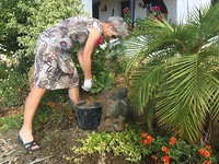Tuinwerkzaamheden