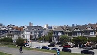 Painted Ladies