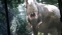 King Kong Studiotour - Universal