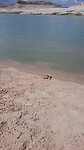 Lake Powell - Lone Rock - Page