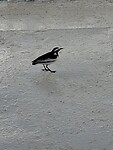 20250720_143320