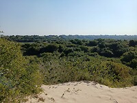 IMG-20250731-WA0004