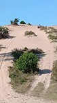 VID-20250731-WA0022