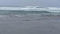 VID-20250801-WA0006
