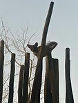 IMG-20250806-WA0002