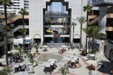 hollywood