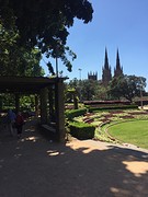 St. Mary's Cathedral through Hyde Park