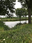 Driesprong vijver