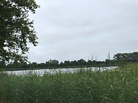 IMG-2432