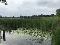 IMG-2433