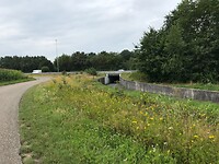 IMG-2441