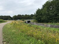 IMG-2442