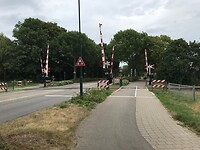 IMG-2445