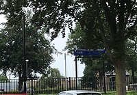 IMG-2447