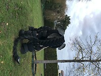 IMG-3347