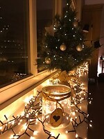 Kerstboompje