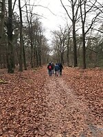 Bos Sitppelberg