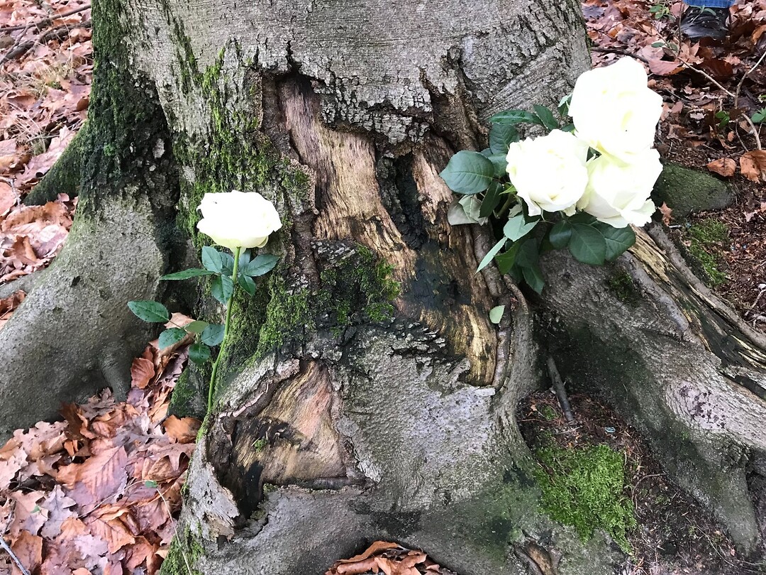 Roosjes