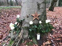 Rozen, ster en kaars
