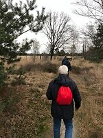 De heide