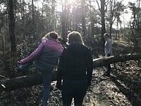 Klimmen over boomstam