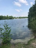 Schaartven