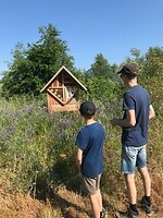 Insectenhotel