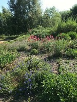 Tuin Vivara