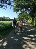 Maasheggen Vbeek