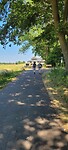 Weg naar Schutkooi
