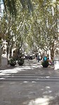 Ramblas