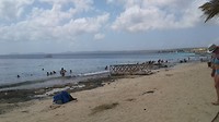 Coco beach