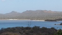 Goto meer