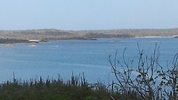 Goto meer